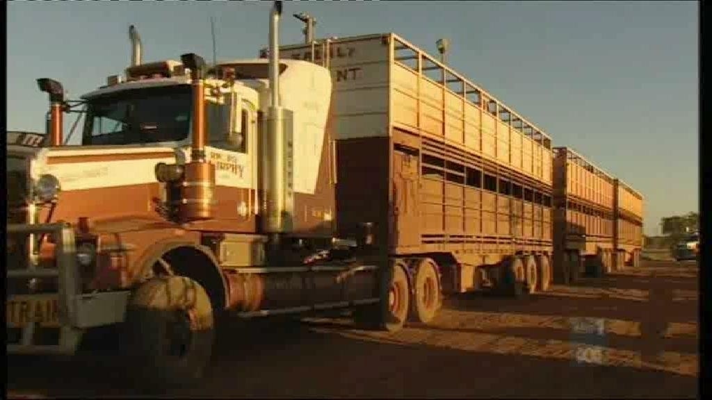 Indonesian Beef - ABC News