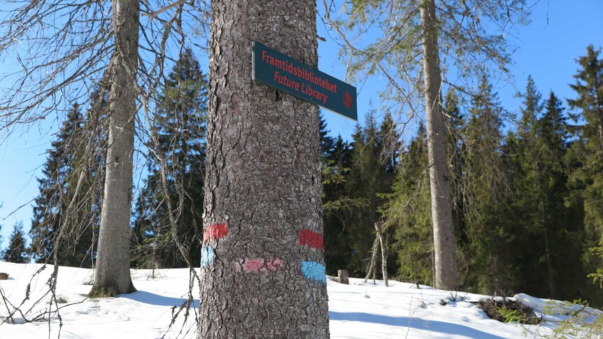 A spruce tree in a forest in the snow with a sign fixed to it saying Future Library.