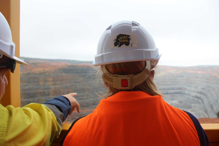 Two people wearing hard hats looking out over a gold mine pit.