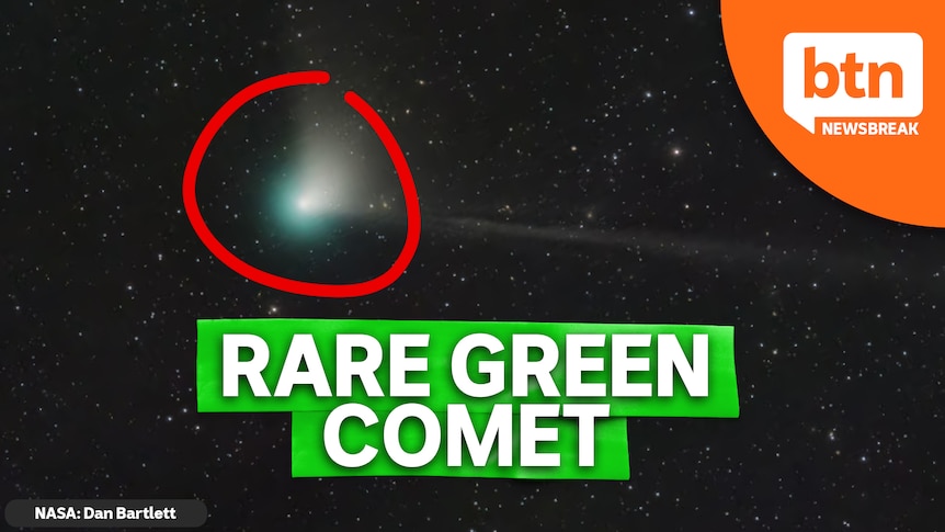A circle is drawn around a very bright comet travelling through space.