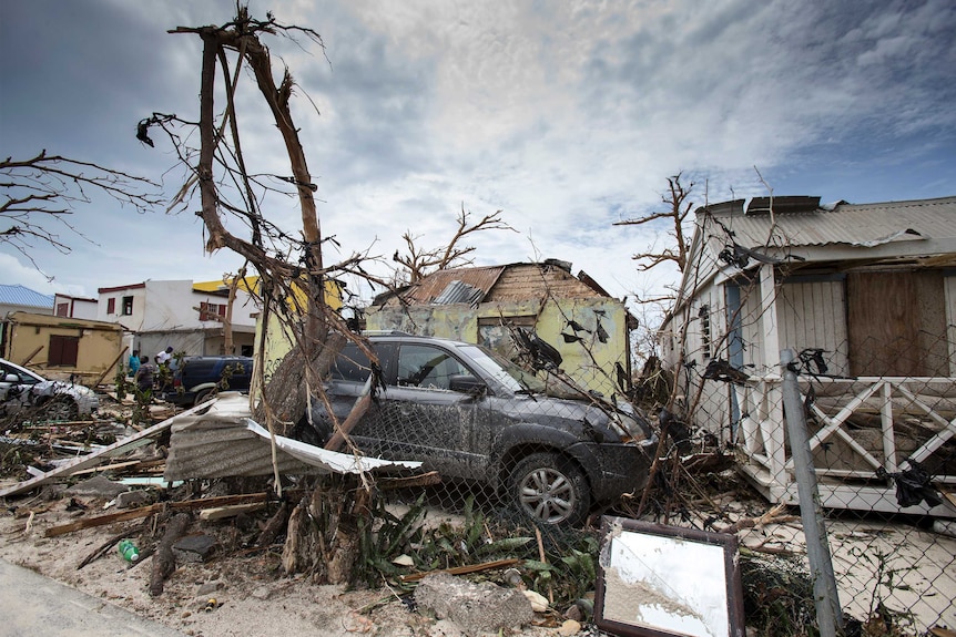 A car sits among the debris left by Hurricane Irma in St Martin. Trees are stripped bare, roofs ripped off houses.