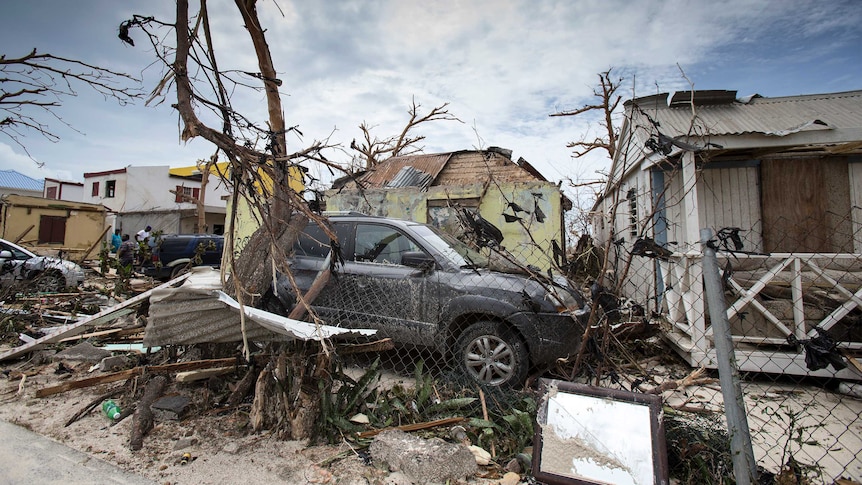 A car sits among the debris left by Hurricane Irma in St Martin. Trees are stripped bare, roofs ripped off houses.