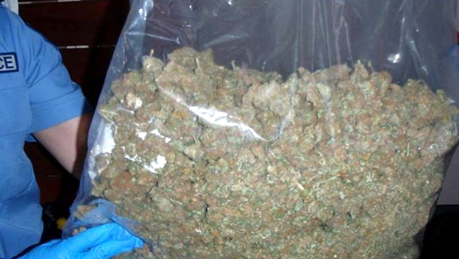 A bag of cannabis