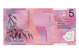 A graphic of a $5 note, with the Queen's portrait removed.