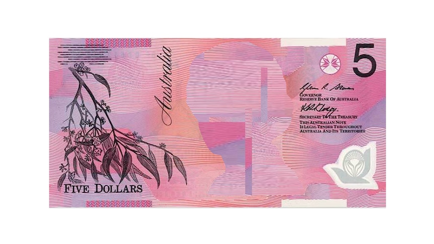 A graphic of a $5 note, with the Queen's portrait removed.