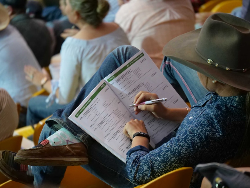A horse breeder looks at a catalogue at a horse sale in Tamworth