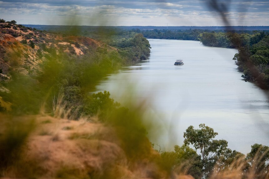 A houseboat makes its way along the River Murray.