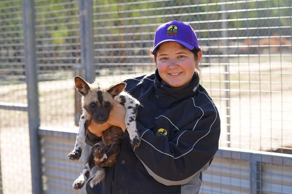 A smiling young woman holds a wild dog while standing near a fence in a zoo.