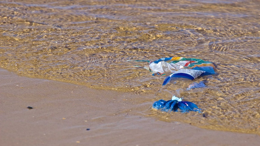 A plastic bread bag moves in and out as waves lap on a sandy shoreline.