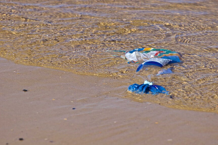 Plastic litter washes ashore.