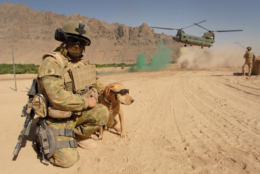 Australian soldier with a dog in a desert setting with helicopter in background.
