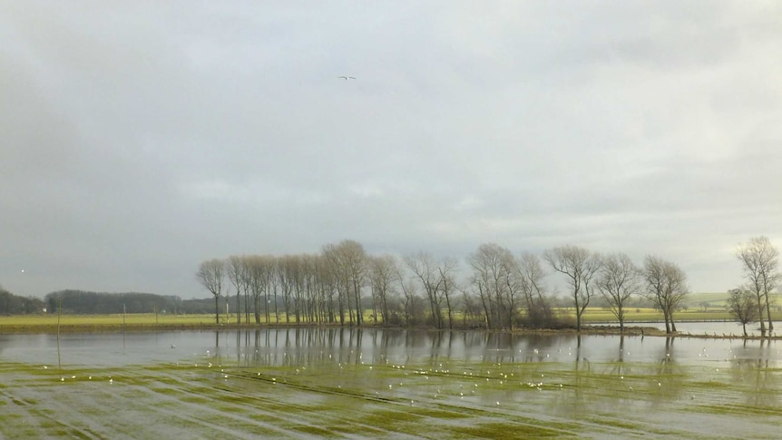 A waterlogged field