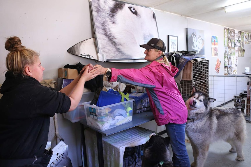 Janelle Wyatt hands Kathryn Chalmers some meat to feed the dogs.