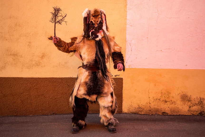 A man in an animal fur suit poses in front of a wall.