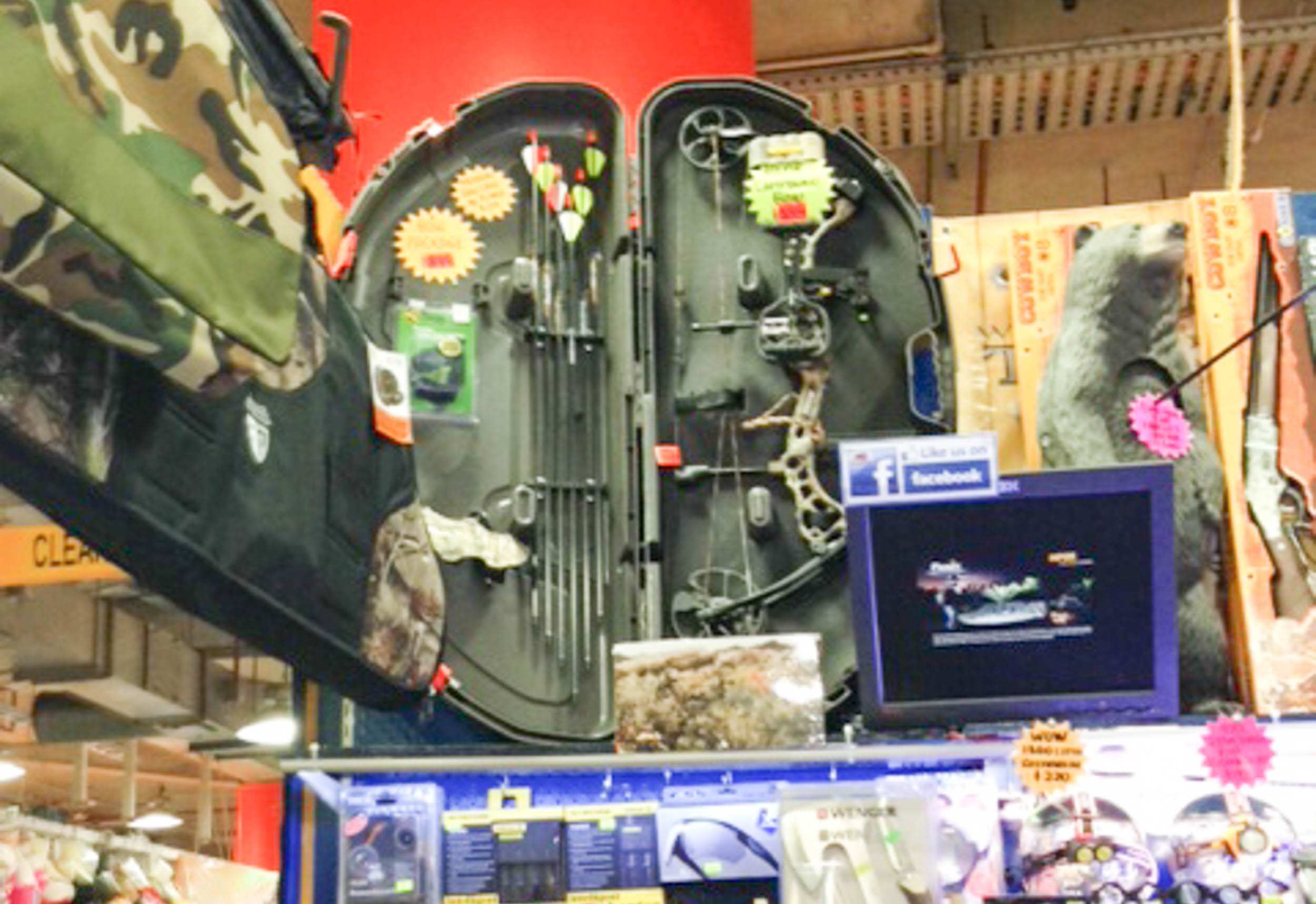 Bow and arrow attacks on wildlife on the rise, prompting call to outlaw compound bows ABC News