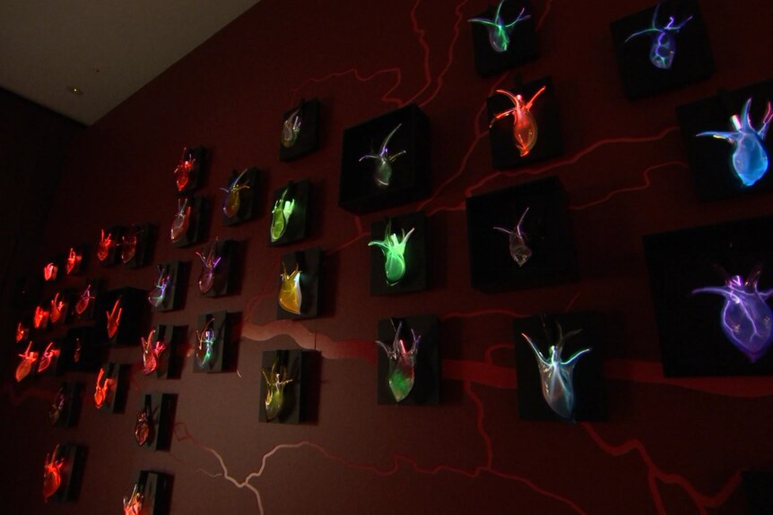 120 glass hearts flicker on a wall installation