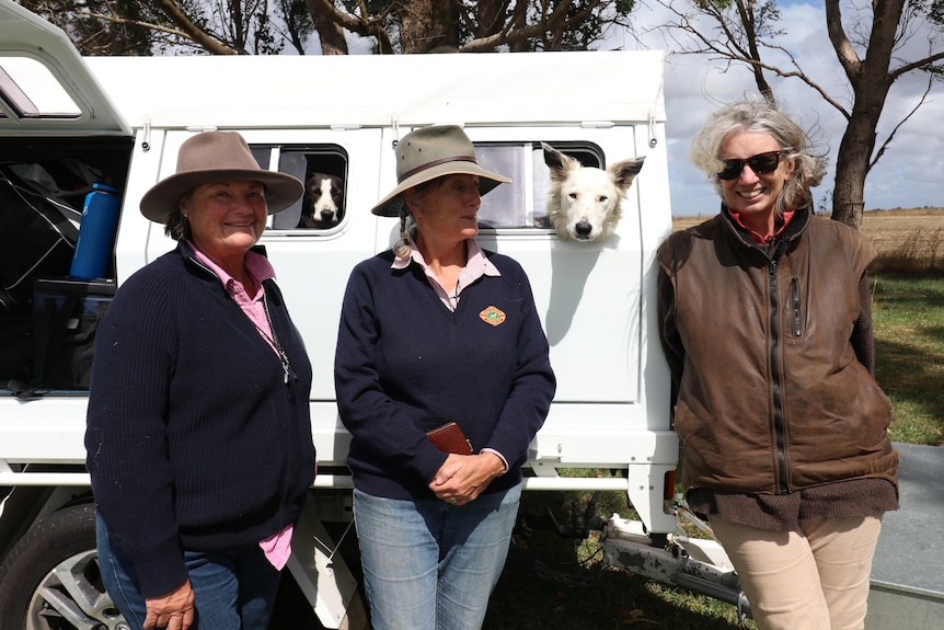Three farming women in akubras with two dogs poking their heads out of a ute window