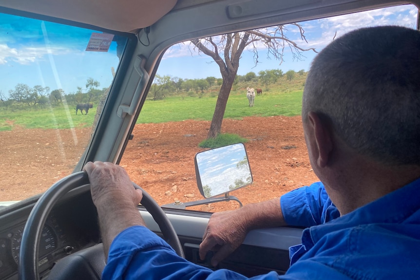 A man looks out the window from behind the wheel of his ute.