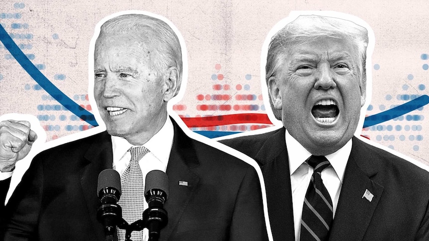 Trump and Biden election