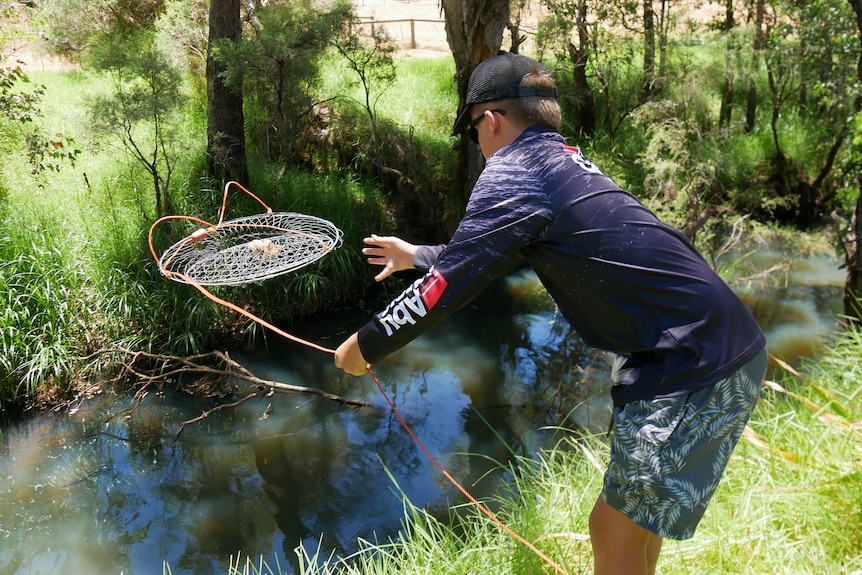 A marron fisher throws a net into the river