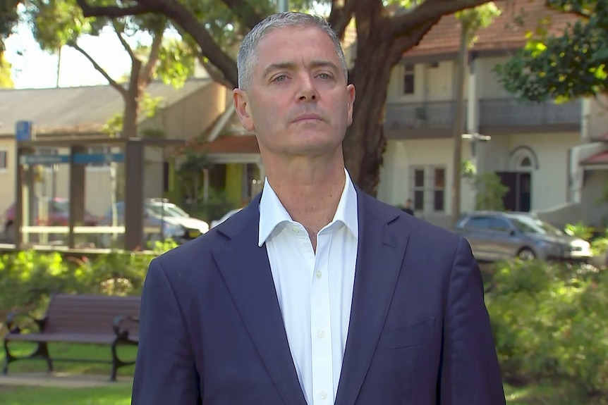 the new south wales roads minister wears a suit while standing in a park to speak to the media 