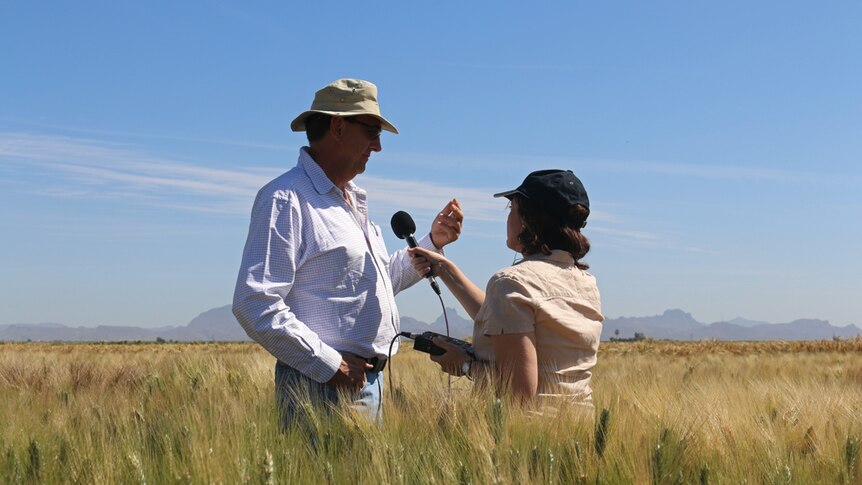 Australian wheat breeder Richard Trethowan