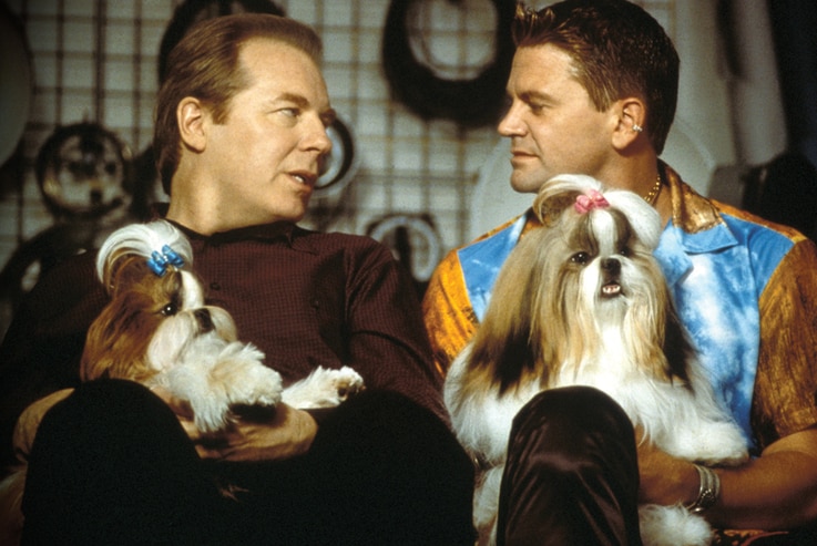 Two men in button up shirts (maroon with checkers and bright tie dye) sit side by side talking with Shih Tzu dogs on their laps.