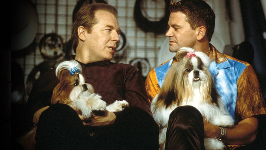 Two men in button up shirts (maroon with checkers and bright tie dye) sit side by side talking with Shih Tzu dogs on their laps.