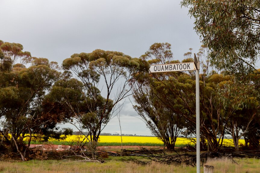Road sign to Quambatook with canola field in background