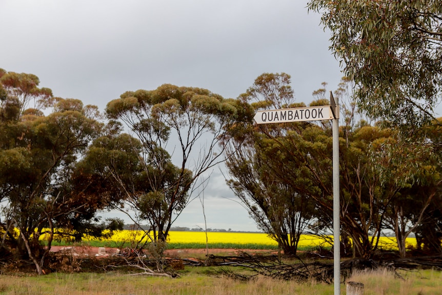 Road sign to Quambatook with canola field in background