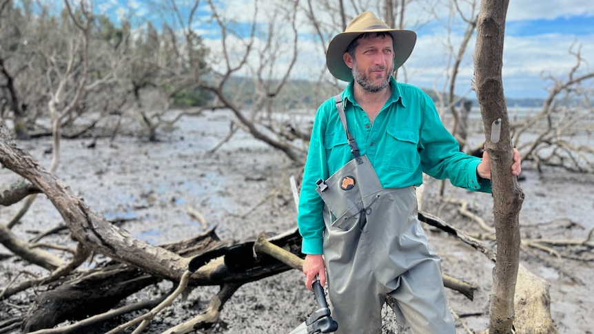 Man stand holding a burned mangrove tree looking out into the distance. 