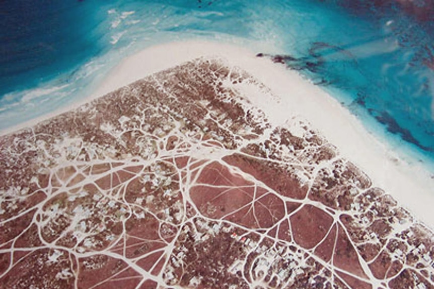 satellite photo of wedge island