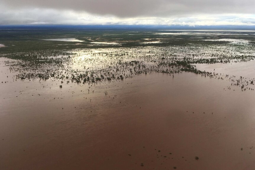 Aerial photo of flooding stretching for kilometres on a remote property.