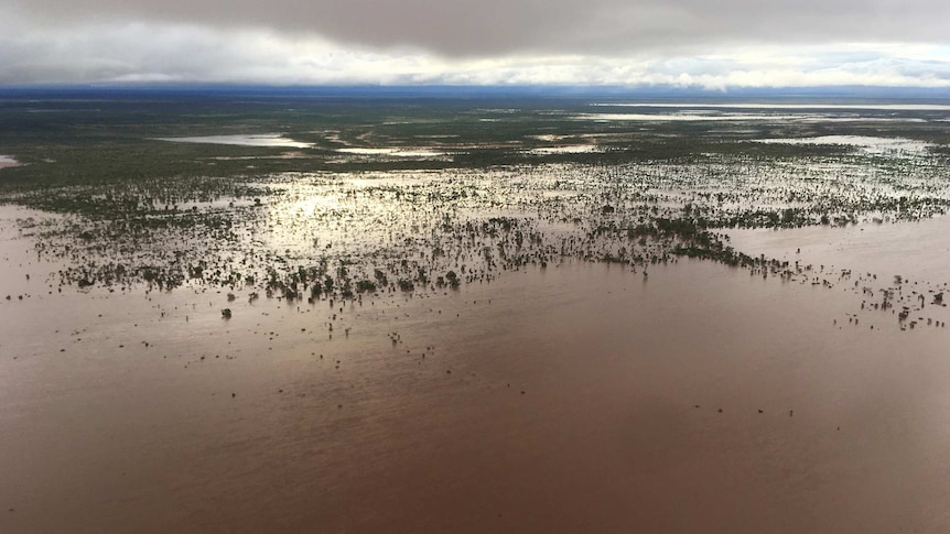 Aerial photo of flooding stretching for kilometres on a remote property.