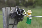 Lego minifig farmer hangs off fencing wire