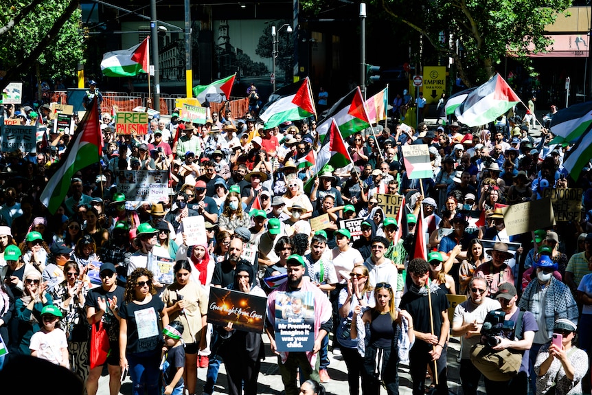 A large crowd of people holding Palestinian flags on an Adelaide street.