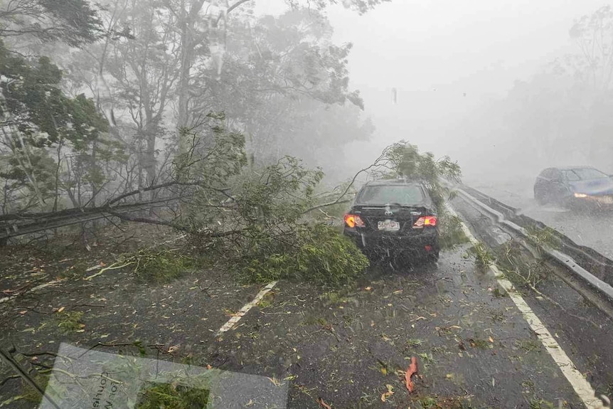 a large branch falls on a moving car during a severe thunderstorm
