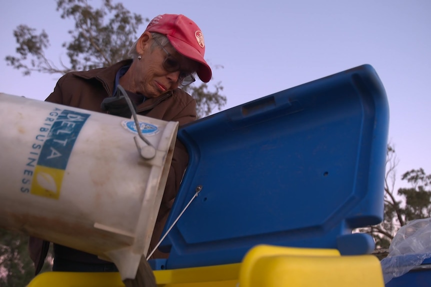 Woman working on a farm. 