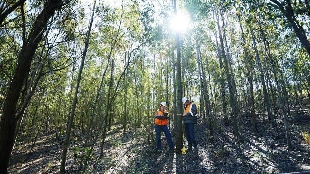 Rehabilitation and research undertaken at Xstrata Coal mines across the Hunter.