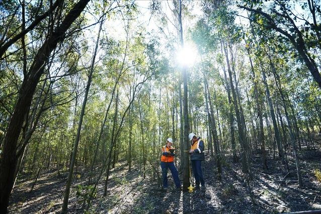 Rehabilitation and research undertaken at Xstrata Coal mines across the Hunter.