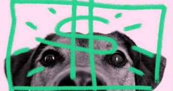 A dog's head with an illustrated dollar sign.