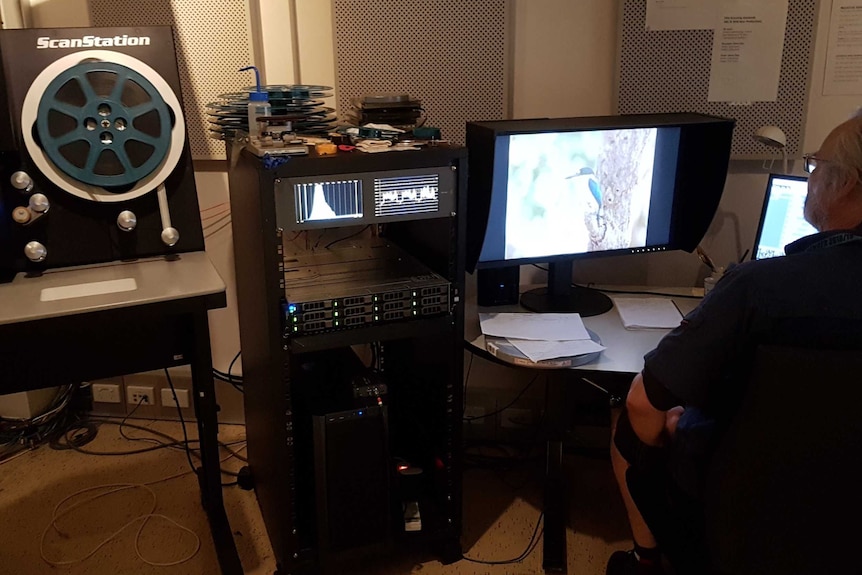 Scanning machine with film feel on spool and man looking at bird on screen.