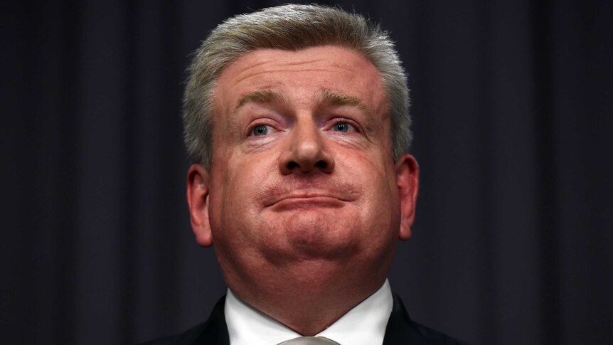 Communications Minister Mitch Fifield