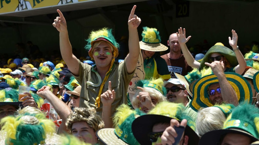 Cricket fans dress as Steve Irwin