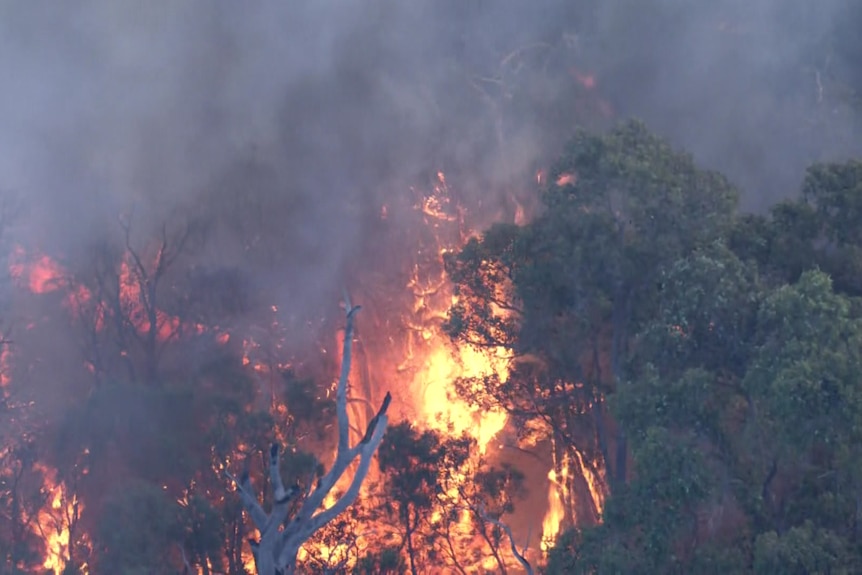 Flames burning through bush land.