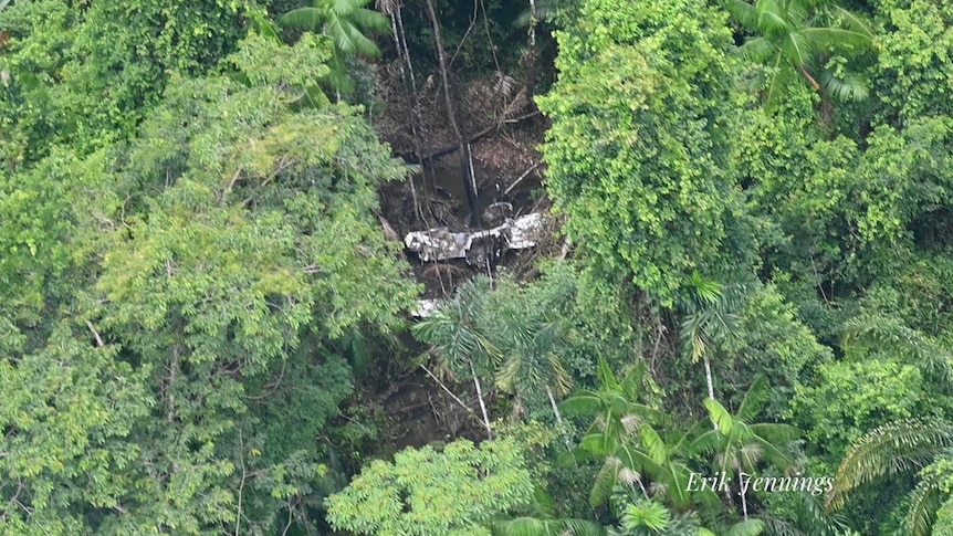 The faint outline of a crashed plane is seen through palm trees 