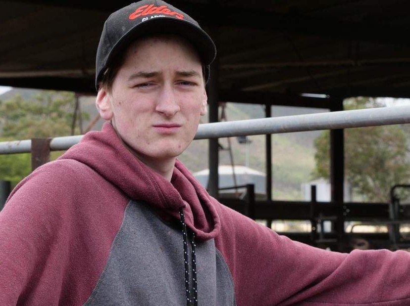 A young man stands looking at the camera, in front of a group of cattle.