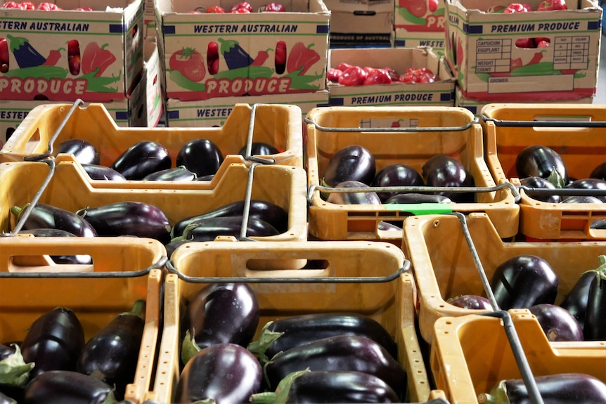 Boxes of eggplants and boxes of red capsicum in the background