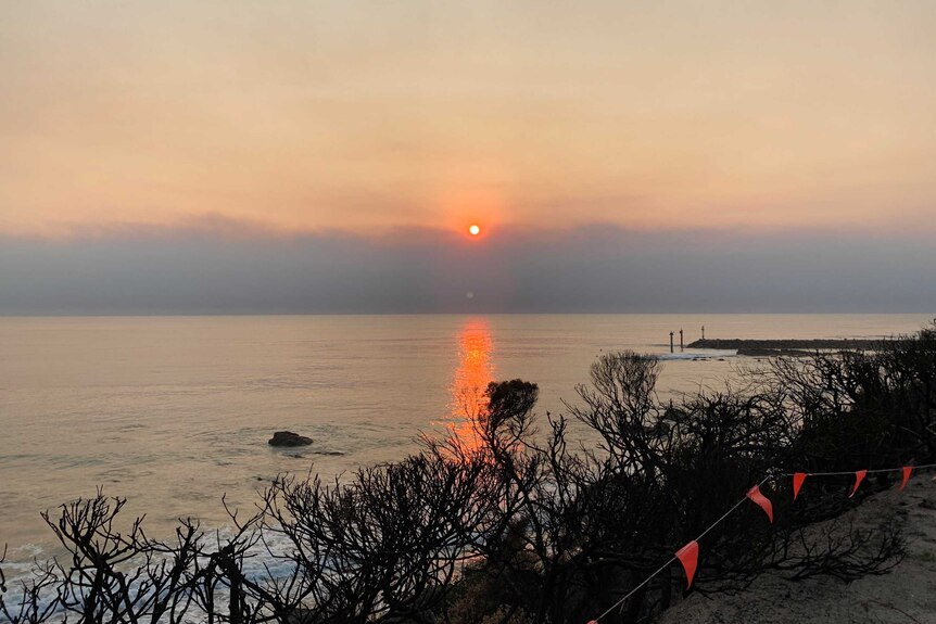 A small red sun rising over the horizon. The water is reflecting the red of the sun. There are burnt shrubs in the foreground.
