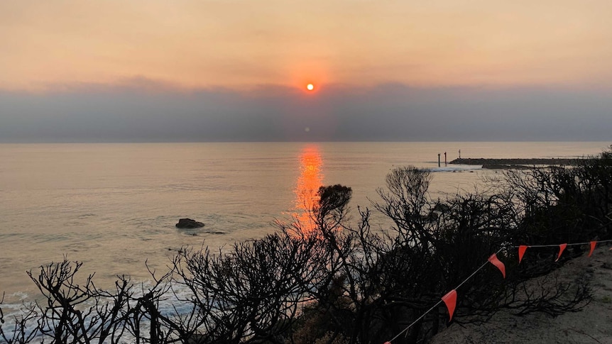 A small red sun rising over the horizon. The water is reflecting the red of the sun. There are burnt shrubs in the foreground.